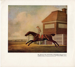 Fox hunting, polo and other horse prints